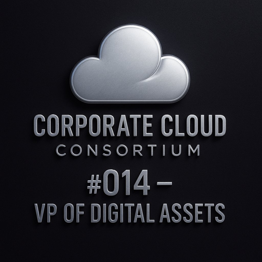 VP OF DIGITAL ASSETS